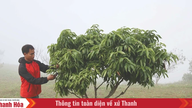 Phát huy hiệu quả chính sách dân tộc: Sức bật cho miền núi xứ Thanh