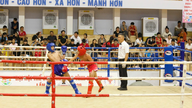 Positive tegn fra Gia Lai ungdomsmesterskap i kickboksing 2026