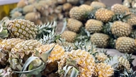 Pequenos comerciantes explicam que os abacaxis são muito baratos na fazenda, mas são vendidos por dezenas de milhares de dongs por quilo no mercado.