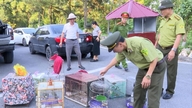Menyelaras perlindungan hidupan liar di Hai Phong
