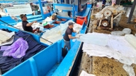 Khanh Hoa'daki balıkçılar denizde kalmaya ve yasa dışı, bildirilmemiş ve düzenlenmemiş balıkçılık (IUU) nedeniyle aldıkları sarı kartı kaldırmaya kararlılar.