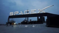 SpaceX shares fell for three consecutive sessions, wiping out $600 billion in market capitalization.