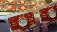 Les prix des lingots et des bagues en or de SJC chutent à nouveau.