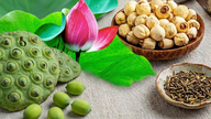 کنول کے تازہ بیج اور خشک کنول کے بیج، کون سا بہتر ہے؟