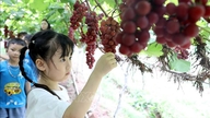 Mengungkap nilai baru pertanian dalam menghadapi perubahan iklim.