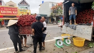 Bac Ninh câștigă aproape 6.000 de miliarde de VND datorită prețurilor ridicate la lici.