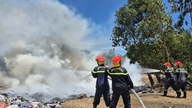 Quang Ngai: Klar med planer för att förebygga och kontrollera skogsbränder.