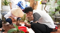 Wabah demam berdarah cenderung menjadi lebih kompleks.