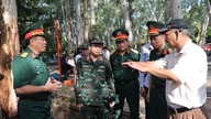 Чоловік привіз фотографії з поля бою назад до парку Ле Тхі Ріенг, щоб шукати загиблих солдатів.