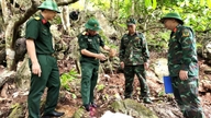 Quân khu 2 kiểm tra công tác tìm kiếm, quy tập hài cốt liệt sĩ tại Tuyên Quang