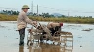Starší farmář v Hai Phongu si ročně vydělá 300 milionů VND chovem rýže a ryb.