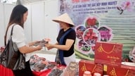 Ярмарок Dien Bien OCOP пройшов успішно, розширивши можливості споживання продукції.