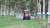 Rubber vervolgt zijn wonderbaarlijke reis [Deel 2] De wetenschap geeft rubber vleugels