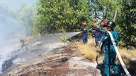 ריכוז כוחות לשליטה בשריפות גדולות ביער המנגרובים.