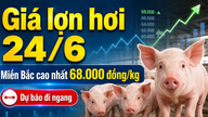 Precios de la carne de cerdo hoy, 24 de junio: Se prevé que el mercado se mantenga estable.