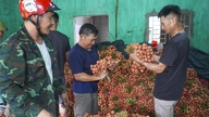 A gyenge licsitermés ellenére Bac Ninh tartomány nagy sikert ért el, közel 6000 milliárd VND bevételt termelve.