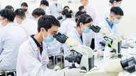 How can Vietnam build world-class private universities?