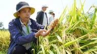 Quang Ngai province aims to establish at least 10 new agricultural cooperatives.