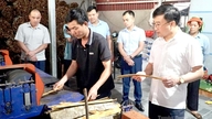 Kolektif ekonomi: tarımı geliştirmenin itici gücü.