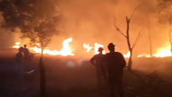 Centenas de pessoas trabalharam durante toda a noite para combater os incêndios florestais costeiros em Quang Tri.
