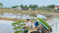 La coopérative Liệp Tuyết travaille de concert pour promouvoir le développement de la production agricole locale.