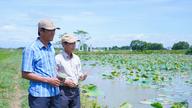 Phát triển kinh tế bền vững từ mô hình tổng hợp