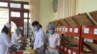 La province de Lam Dong développe la médecine traditionnelle en parallèle avec le tourisme de villégiature.