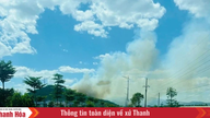 हाई बिन्ह वार्ड में जंगल में आग