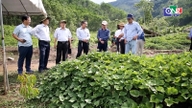 Son Tay Thuong celebra il primo anniversario dell'entrata in funzione del sistema di governo locale a due livelli.
