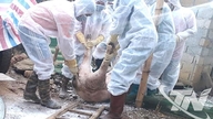 Mehr als 5.000 Blutproben von Nutztieren wurden zu Quarantänezwecken untersucht.