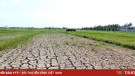 De provincie Dong Nai bereidt een plan voor op mogelijke watertekorten als gevolg van El Niño.