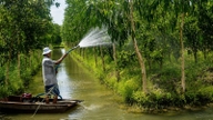Vietnam - República Federal de Alemania: Cooperación en la gestión sostenible de los recursos hídricos subterráneos en el delta del Mekong.