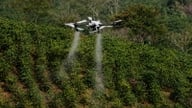 Provincia Dien Bien pilotează utilizarea dronelor în producția agricolă.