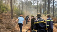 Thanh Hoa: Incendiile forestiere din districtul Hai Binh sunt practic stinse.