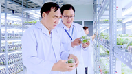 Đầu tư “mũi nhọn” công nghệ sinh học