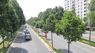 Preservare gli spazi verdi nel centro città.