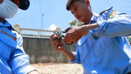Khanh Hoa province is determined to put an end to the hunting and trapping of swiftlets.