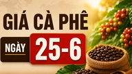 Giá cà phê ngày 25-6: Đảo chiều tăng, cao nhất 88.700 đồng/kg