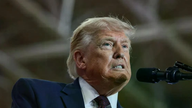 Yhdysvaltain presidentti Trump on vihainen, koska bensiinin hinta laskee hitaammin kuin öljyn hinta.