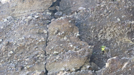 Han aparecido numerosas grietas geológicas en los parajes pintorescos de la pagoda de Duc y la montaña Gieng Tien.