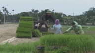 Mengintegrasikan pelan untuk membangunkan ekonomi kolektif dan mereplikasi model koperasi yang berkesan untuk tempoh 2026-2030.