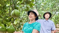 상업적인 농업 생산은 시장 수요와 연관되어 있습니다.