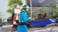 Le quartier de Cam Ranh organise une campagne d'élimination des larves et des pupes de moustiques afin de prévenir et de contrôler la dengue.