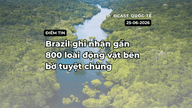 [Podcast] Weltnachrichten vom 25. Juni: Starke Erdbeben in Venezuela und Japan