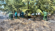 Die Behörden löschten umgehend einen Waldbrand unter den Kasuarinenbäumen in der Gemeinde Dong Trach.
