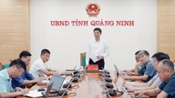 Cererea solicită o rezolvare completă a inundațiilor și alunecărilor de teren din cele patru cartiere Ha Long, Hong Gai, Cao Xanh și Ha Lam.