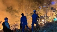 Prim-ministrul a emis o directivă privind prevenirea și controlul incendiilor forestiere în urma incendiului masiv din Nghe An.