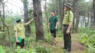 „Waldbrandbekämpfung“ während der heißen Jahreszeit.