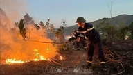 De provincie Thanh Hoa heeft de bosbrand in het district Hai Binh volledig onder controle.