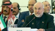 Iran benægter at være blevet tvunget til at importere amerikanske landbrugsprodukter.